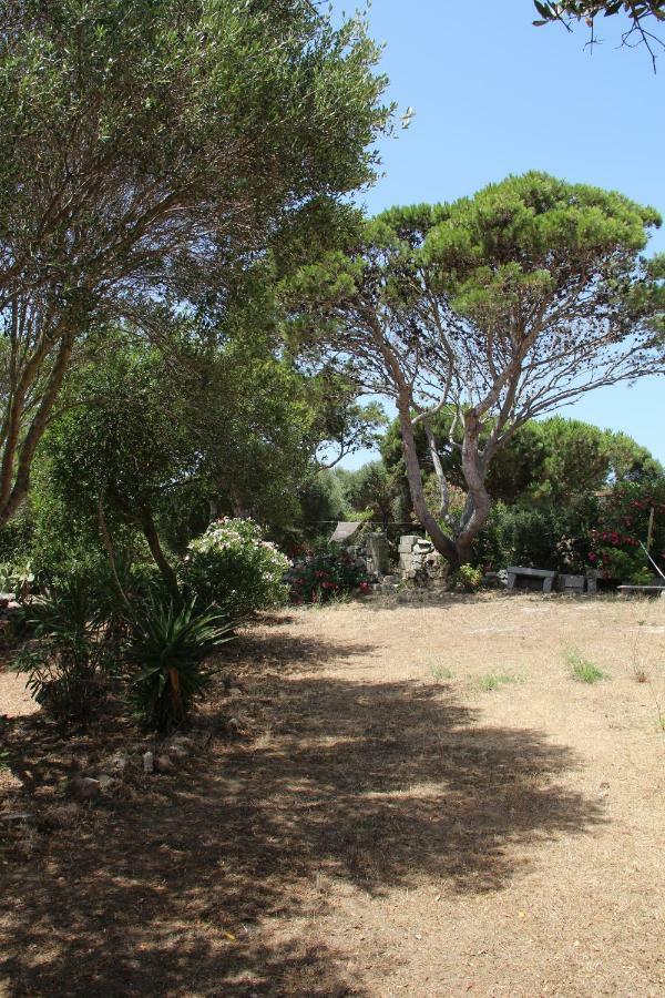 Le 25 Tartarughe Bed & Breakfast Santa Teresa Gallura Ngoại thất bức ảnh