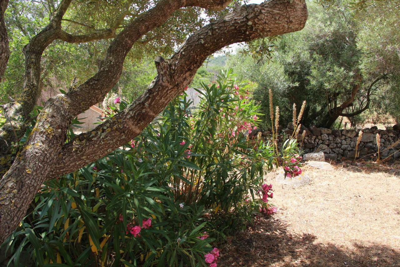Le 25 Tartarughe Bed & Breakfast Santa Teresa Gallura Ngoại thất bức ảnh